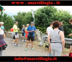 marciliegia-2015-045-copia