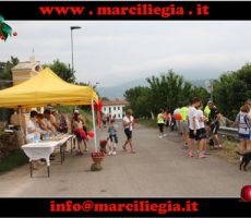 marciliegia-2015-046-copia